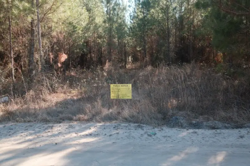 169 Johns Way, Nahunta, GA 31553 - #1