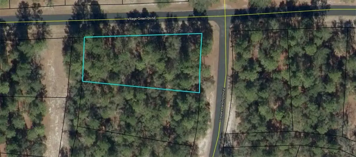 Lot 617 Coopers Landing Drive Ne, Townsend, GA 31331 - #1