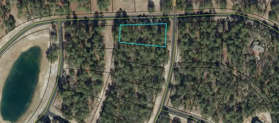 Lot 617 Coopers Landing Drive Ne, Townsend, GA 31331 - #2