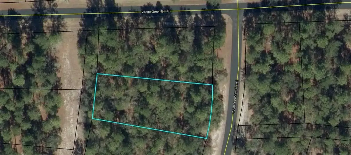 Lot 618 Coopers Landing Drive Ne, Townsend, GA 31331 - #1
