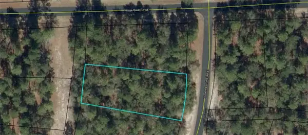 Lot 618 Coopers Landing Drive Ne, Townsend, GA 31331