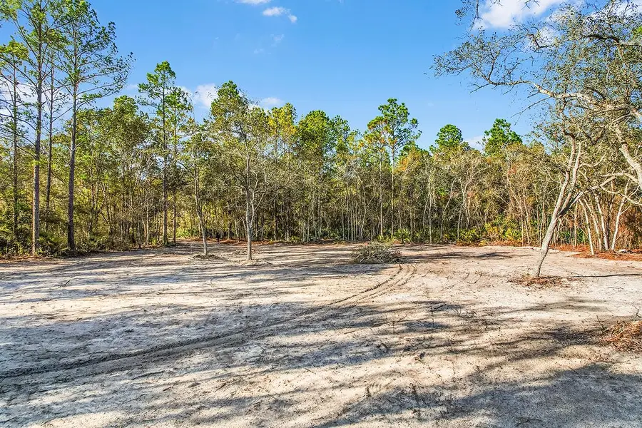 61 Captain's Cove Road Ne, Townsend, GA 31331 - #2