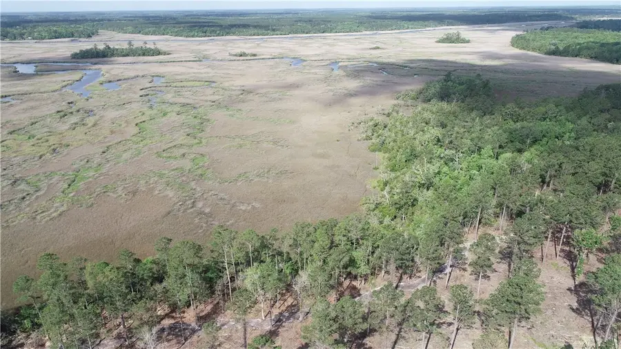 3009 Horse Stamp Church Road, Waverly, GA 31565 - #2