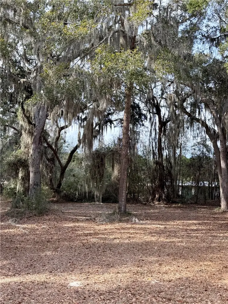 Lot 609 Sutherland Bluff Court Ne, Townsend, GA 31331 - #3