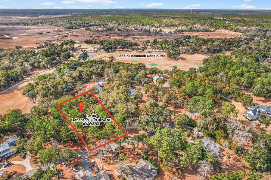 39 Sutherland Bluff Drive Ne, Townsend, GA 31331 - #3