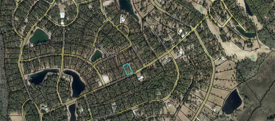 Lot 684 Wood Stork Drive Ne, Townsend, GA 31331 - #2