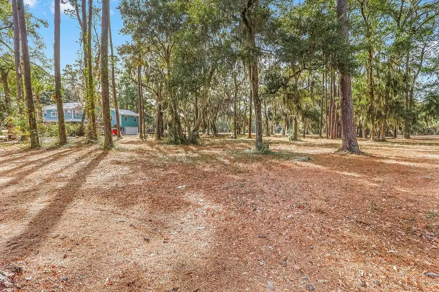 38 Sutherland Bluff Drive Ne, Townsend, GA 31331 - #2