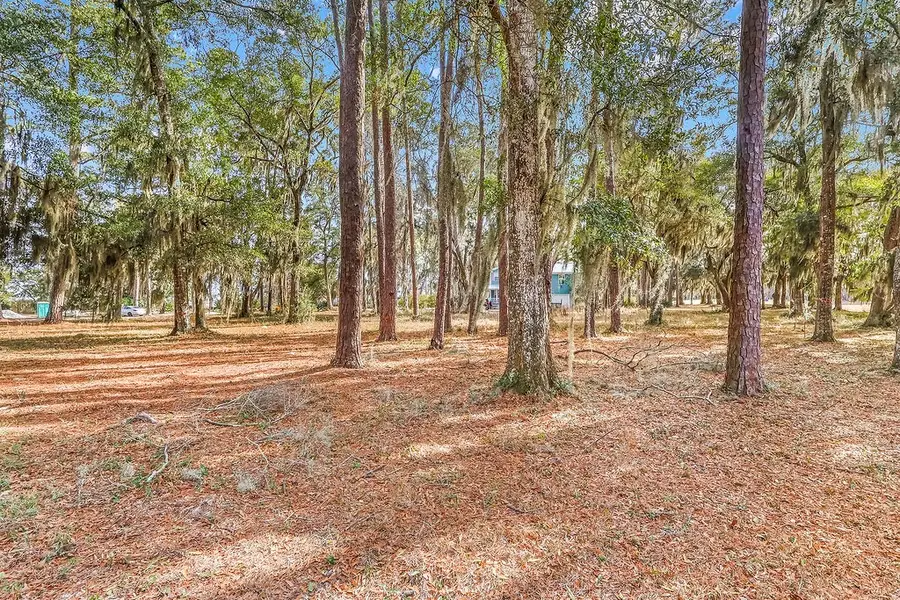 38 Sutherland Bluff Drive Ne, Townsend, GA 31331 - #3