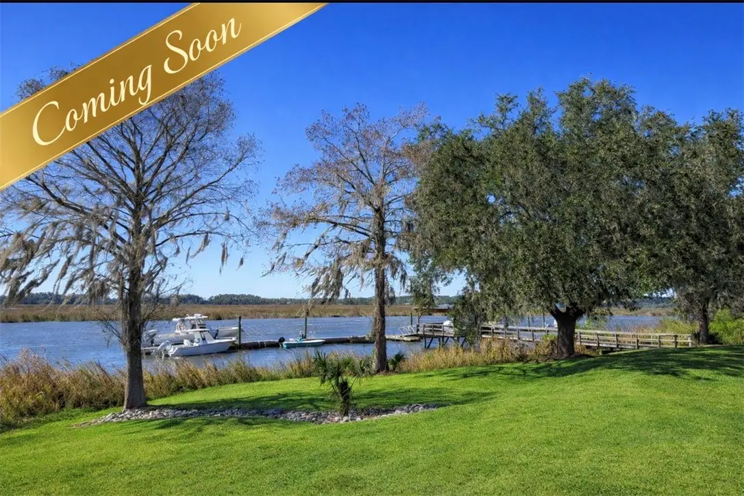 101 Cathead Lane, Darien, GA 31305 - #1