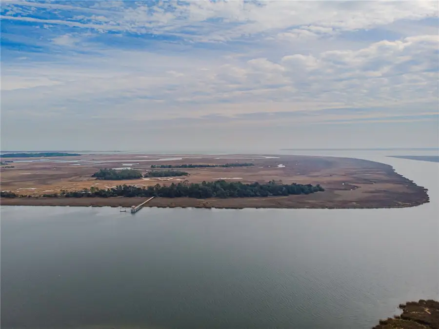 0 Lower Barbour Island, Townsend, GA 31331 - #2