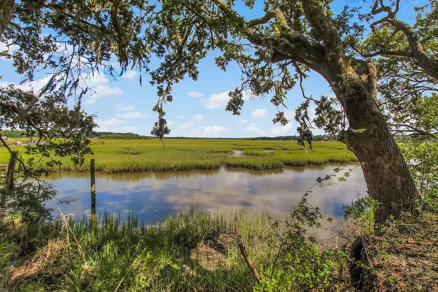 151 Julienton Drive, Townsend, GA 31331 - #3