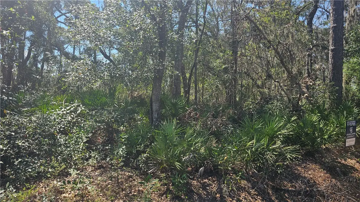 304 Burford Road, Brunswick, GA 31523 - #1