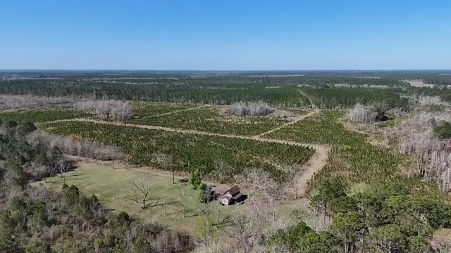 0 Ingram Road, Odum, GA 31555 - #2