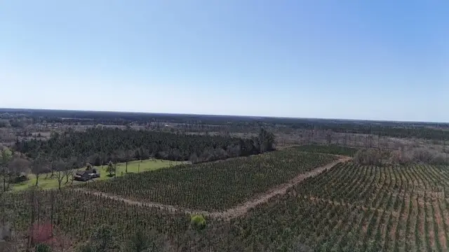 0 Ingram Road, Odum, GA 31555 - #3