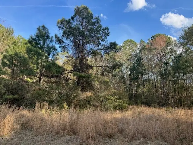 0 Eden Road, Patterson, GA 31557 - #2