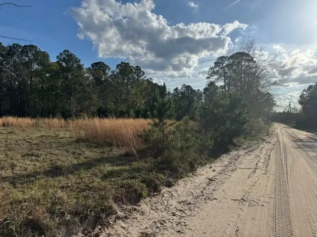 0 Eden Road, Patterson, GA 31557 - #3