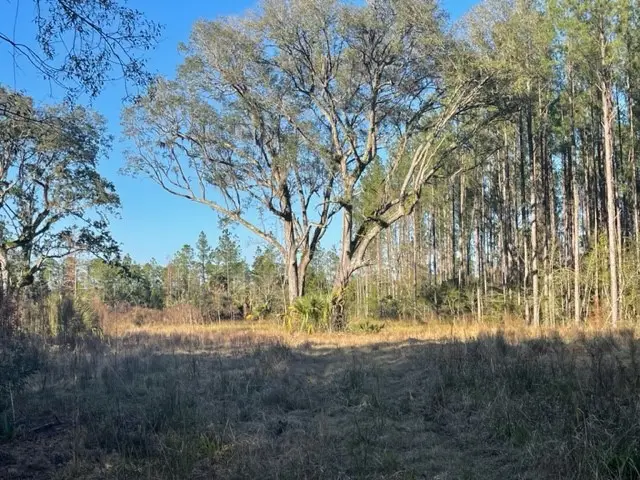 Lot 77 Lasole Lane, Waverly, GA 31565 - #3