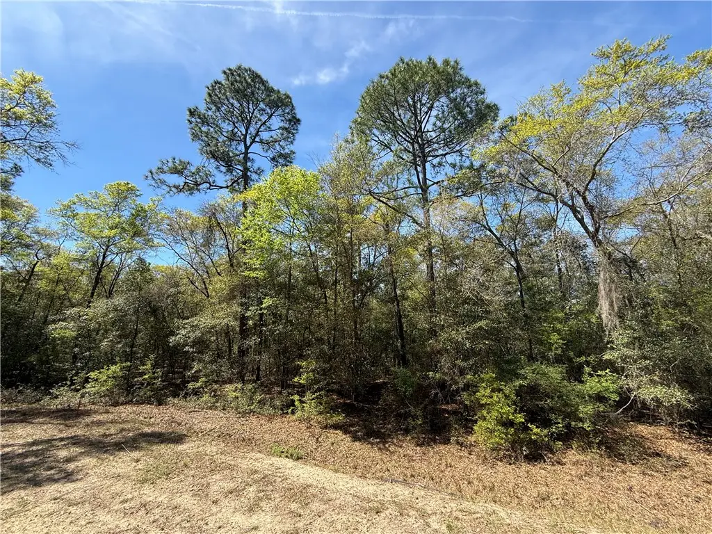 0 (Lot 4) Deer Court, Waverly, GA 31565 - #1
