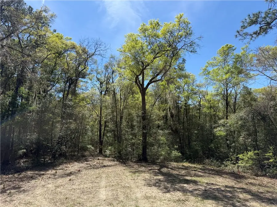 0 (Lot 5) Deer Court, Waverly, GA 31565 - #3