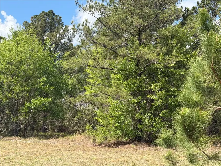 359 Cane Circle, Nahunta, GA 31553 - #2