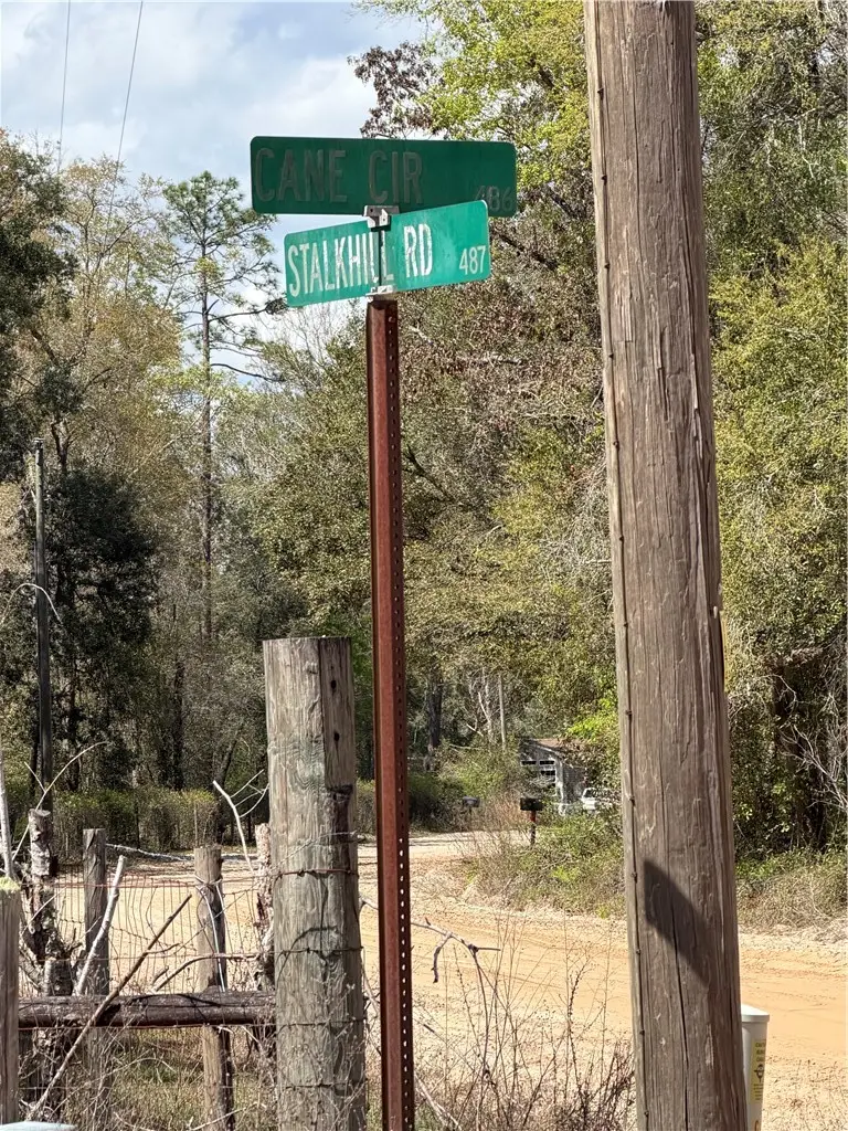 359 Cane Circle, Nahunta, GA 31553 - #3