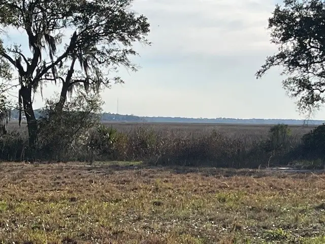 Lot 307 Coopers Point Drive, Townsend, GA 31331 - #3