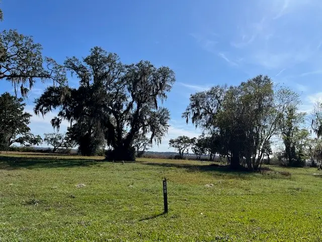 Lot 308 Coopers Point Drive, Townsend, GA 31331 - #2