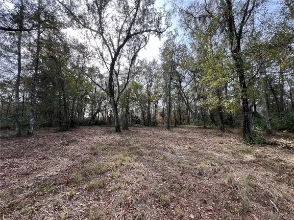 597 Salt Creek Way E, Brunswick, GA 31523