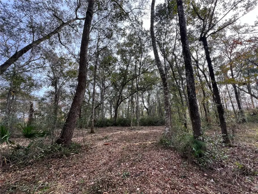 597 Salt Creek Way E, Brunswick, GA 31523 - #3