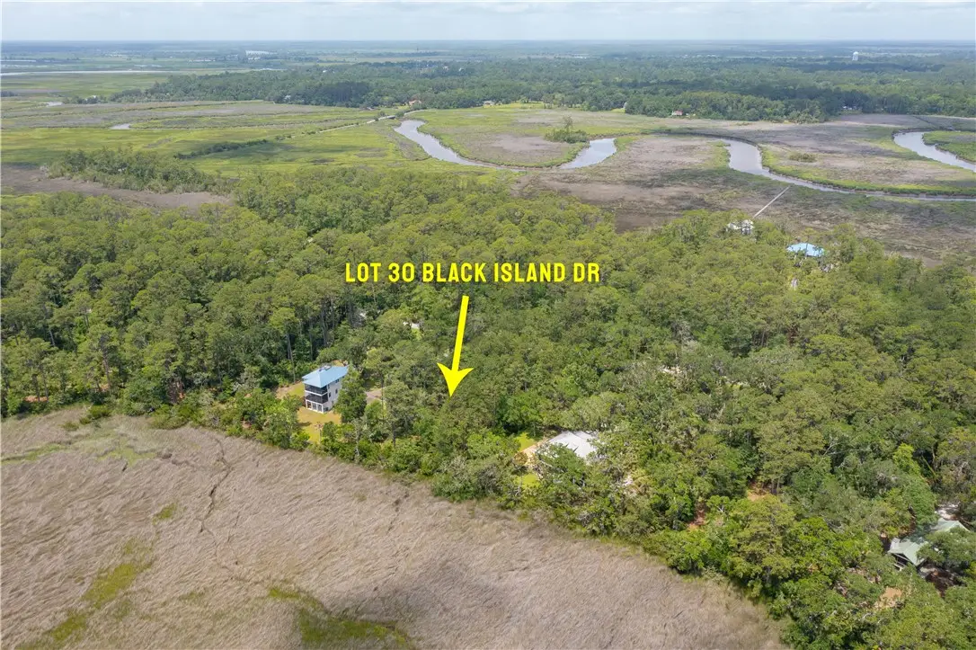 LOT 30 Black Island Road, Darien, GA 31305 - #1