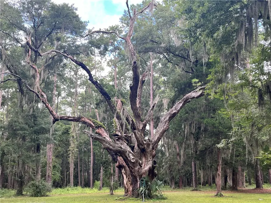 LOT 5 Black Island, Darien, GA 31305 - #2