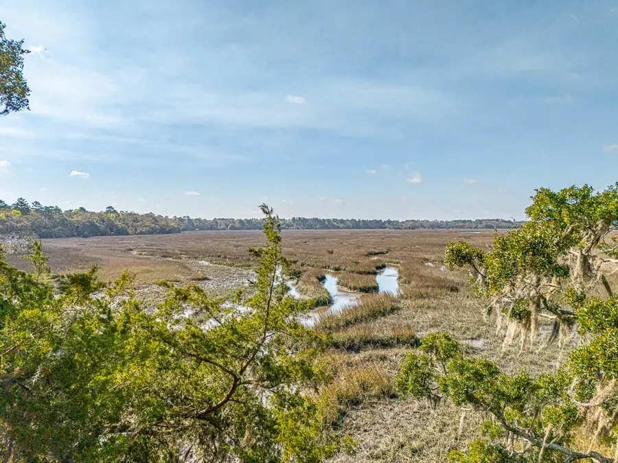 1368 NE Woodstork Way, Townsend, GA 31331 - #3