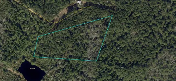 Parcel #1 Brio Lane, Brunswick, GA 31523