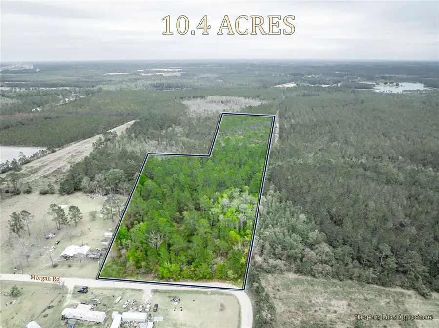 0 Morgan Road, Waycross, GA 31503 - #2