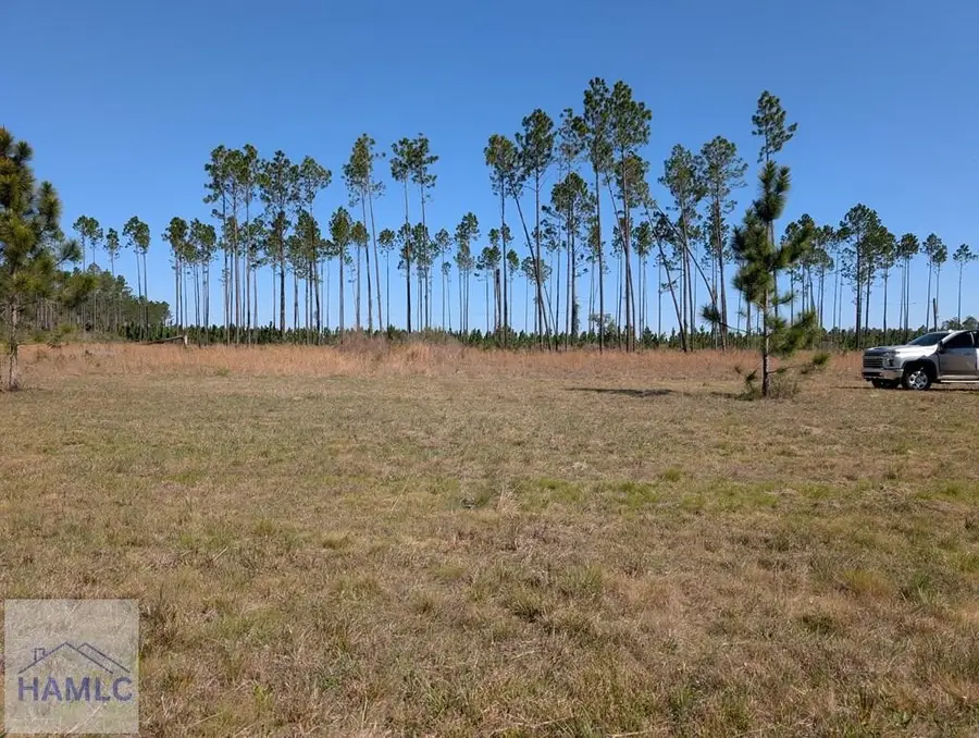 Lot 33 Miles Landing, Bristol, GA 31518 - #2