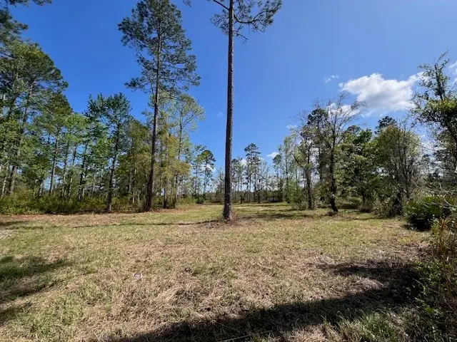 437 Salt Creek Way E, Brunswick, GA 31523 - #2