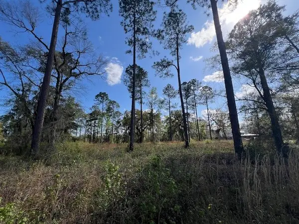 463 Salt Creek Way E, Brunswick, GA 31523