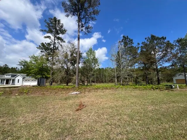 235 Salt Creek Way E, Brunswick, GA 31523 - #3