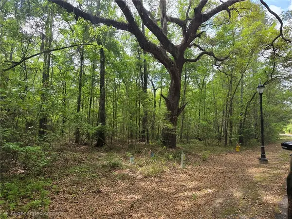 Lot 7 St. Andrews Way, Woodbine, GA 31569