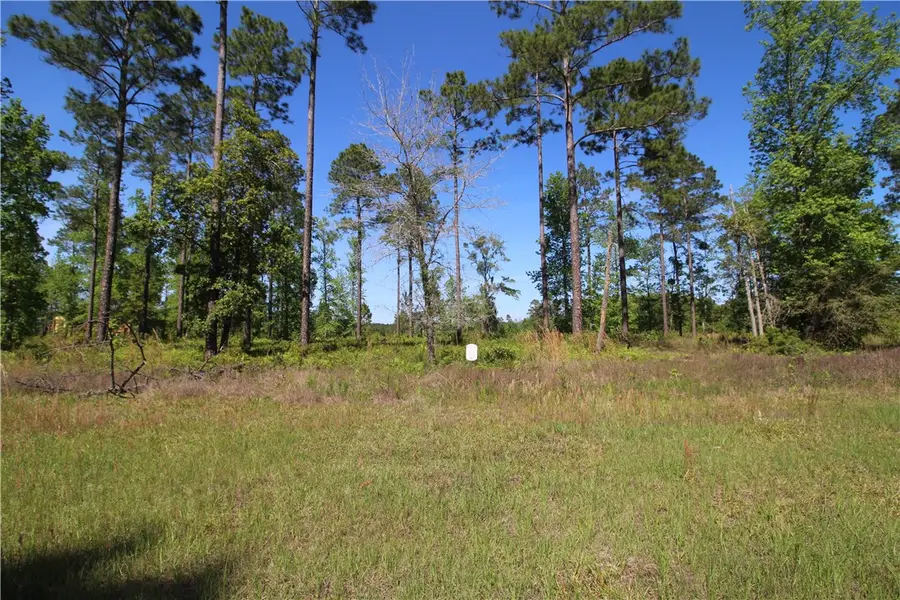 468 Salt Creek Way E, Brunswick, GA 31523 - #3