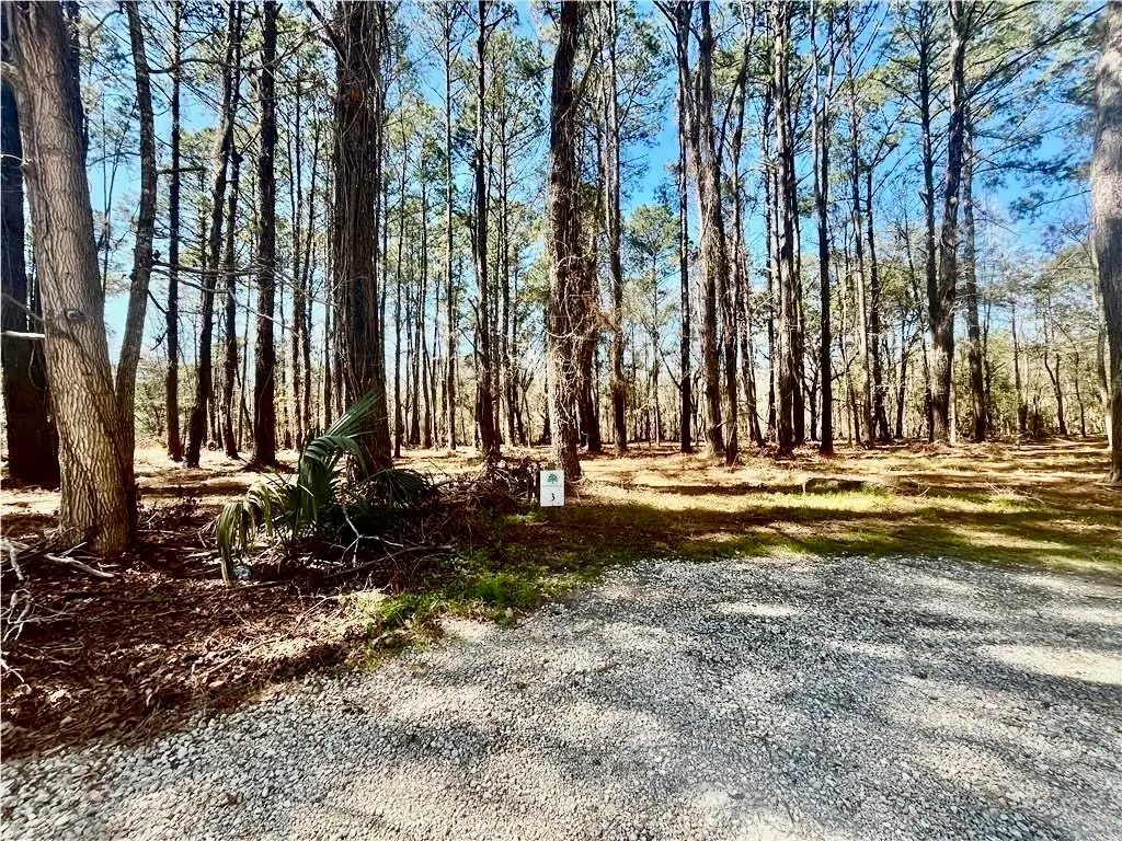 Lot 3 Osprey Cove, Darien, GA 31305 - #1