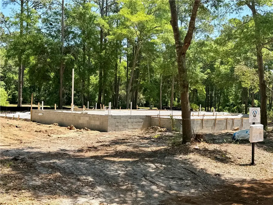 1499 Sapelo Park Drive Ne, Townsend, GA 31331 - #3