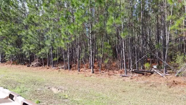 W Highway 196, Hinesville, GA 31313 - #3