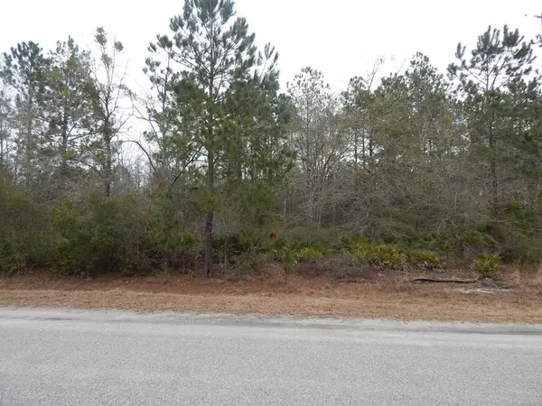 000 Louis Passmore Road, Ludowici, GA 31319