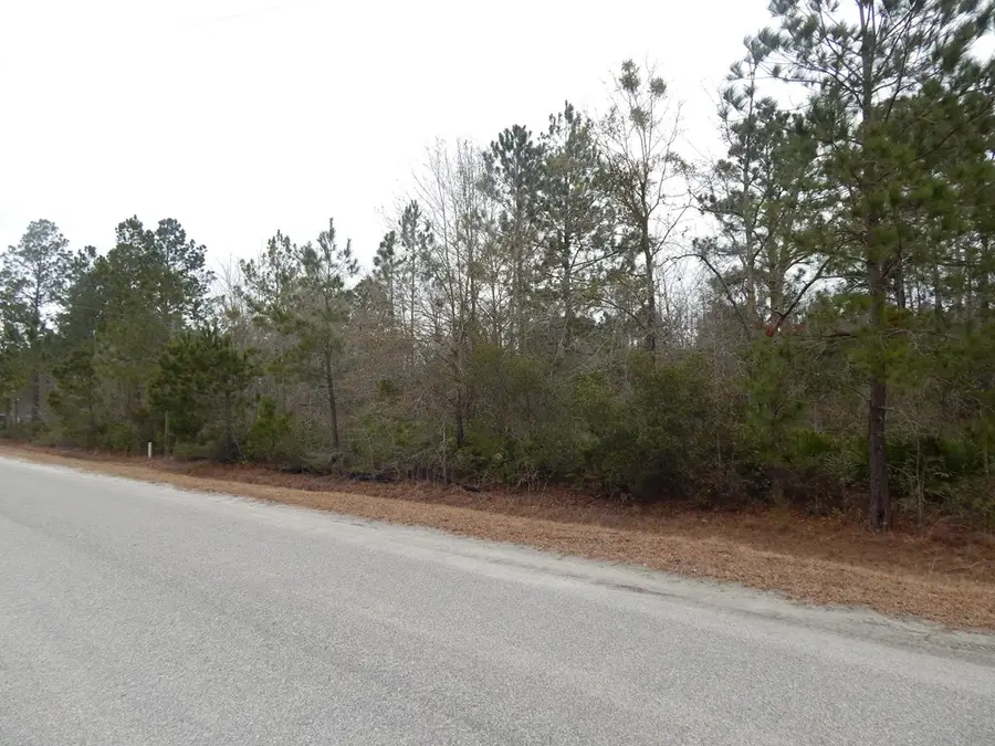 000 Louis Passmore Road, Ludowici South, GA 31319 - Image #3