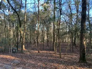 Lot 00 Moss Landing, Jesup, GA 31545 - #2