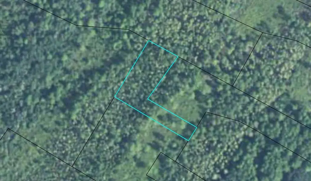 0 Franklin Street Extension, Darien, GA 31305 - #1