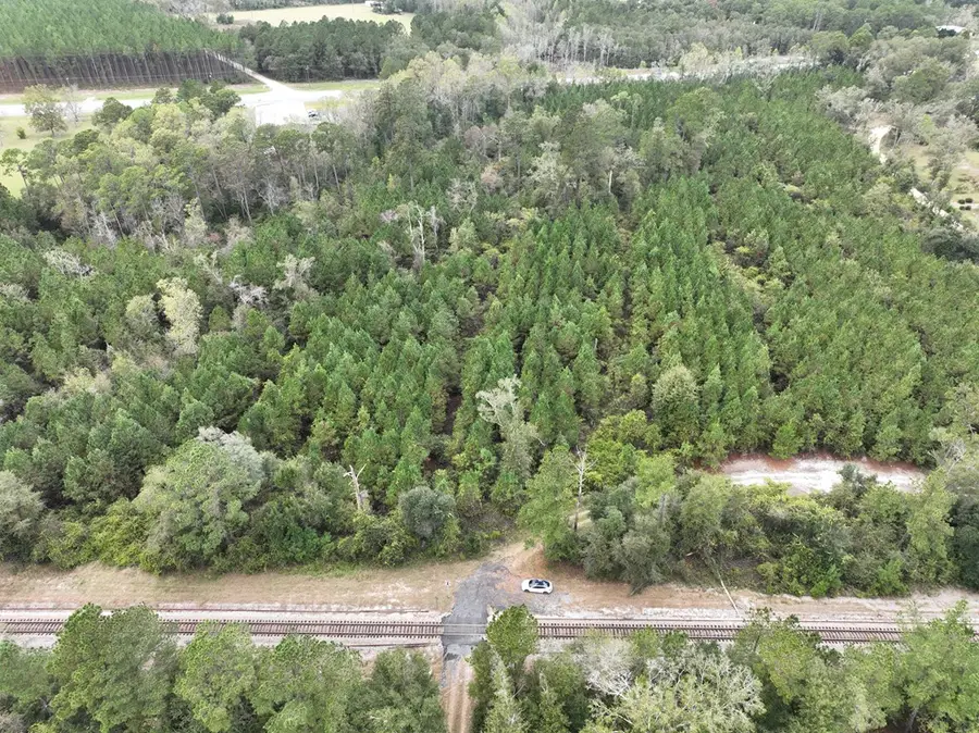 0 Dale Mill Road, Screven, GA 31560 - #2