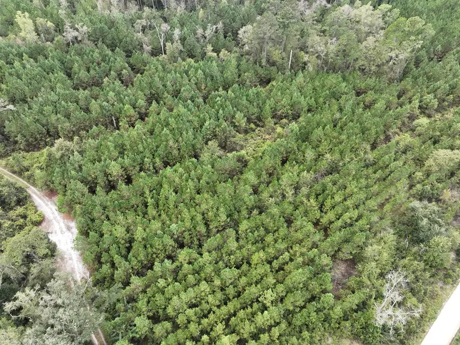 0 Dale Mill Road, Screven, GA 31560 - #3