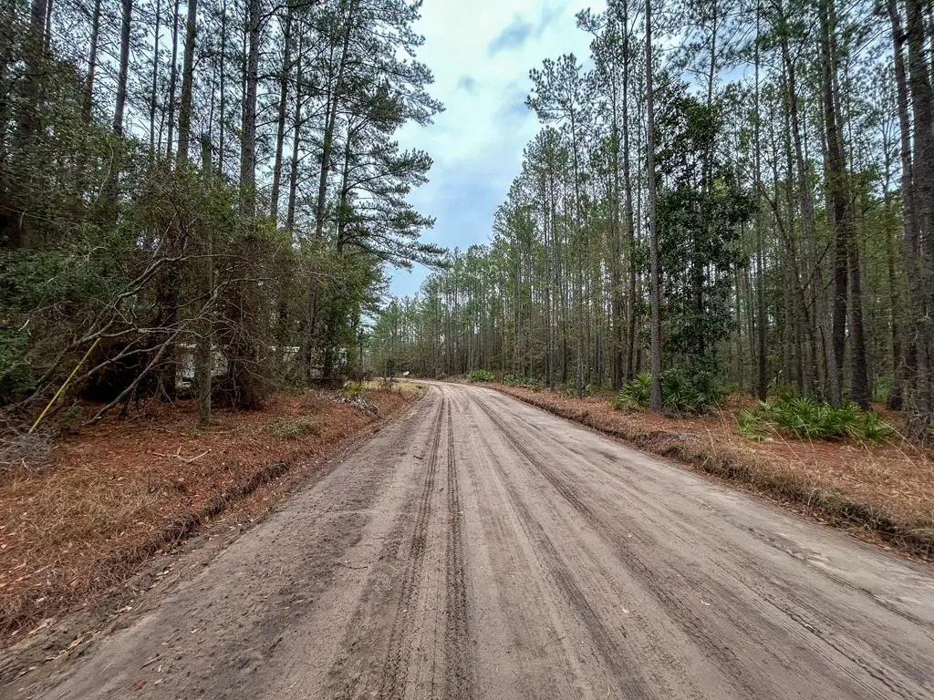 18 Caldwell Rd Ne, Ludowici, GA 31316 - Image #1